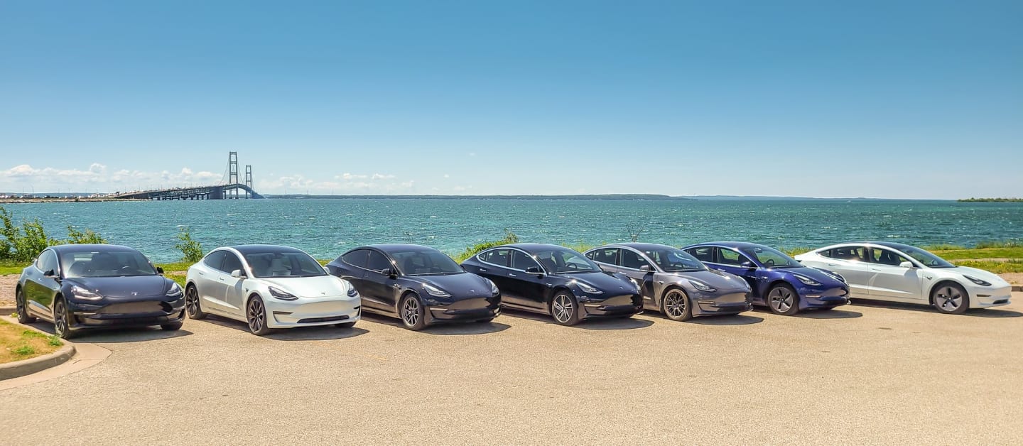 Tesla Owners Club of Michigan Engage Tesla